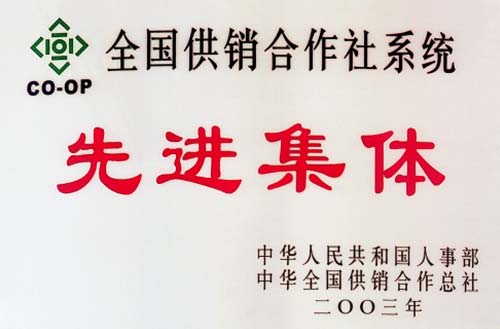 全國供銷合作社系統(tǒng)先進集體